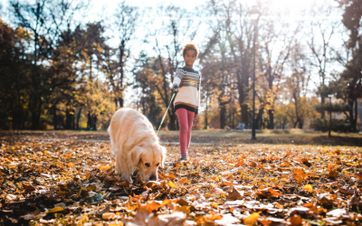 Responsibility & Connection: How Pets Can Support Mental Health